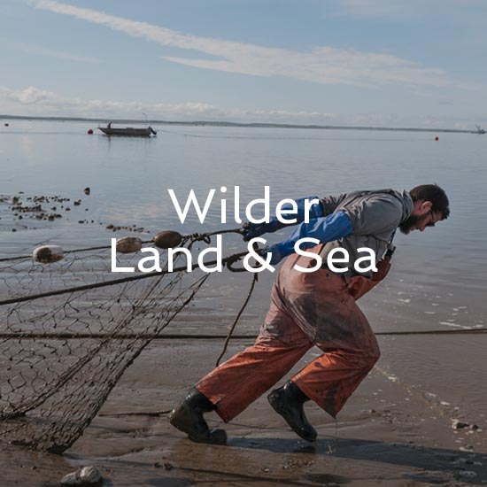 Hub Redd on Salmon Street